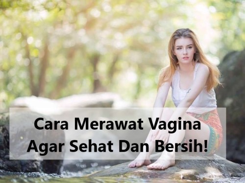 Cara Merawat Vagina Agar Sehat Dan Bersih!